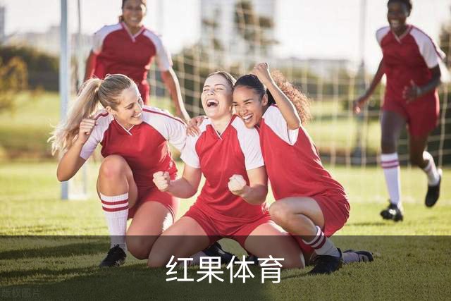 红果体育公司介绍图